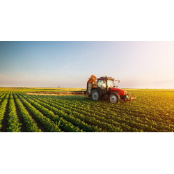 زمین کشاورزی